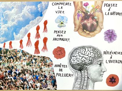 Composition fait en collage avec des images des des nuages, un coeur, un cerveau avec messages : "arrêtez de polluer", "pensez à la nature", "pensez aux animaux".